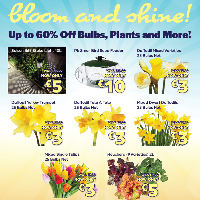 August Gardening Offers