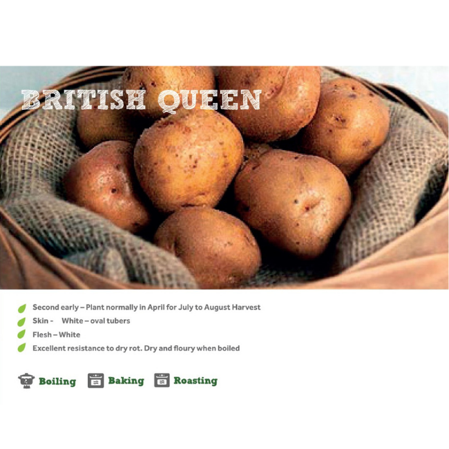 BRITISH QUEENS SEED POTATOES 2KG