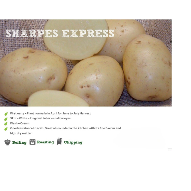 SHARPE'S EXPRESS SEED POTATOES 2KG