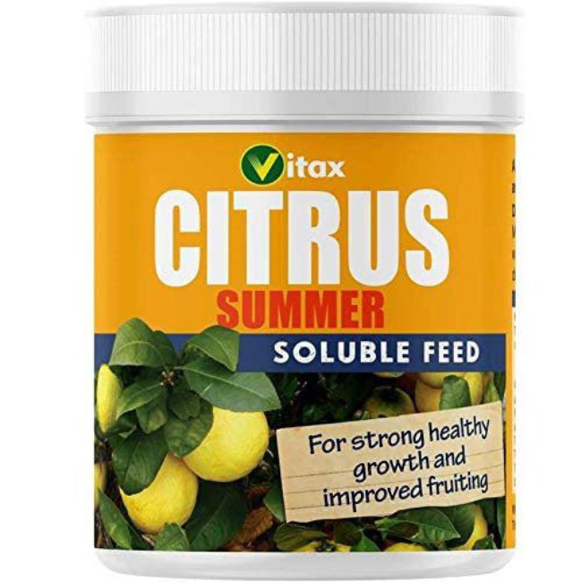 CITRUS FEED SUMMER 200G