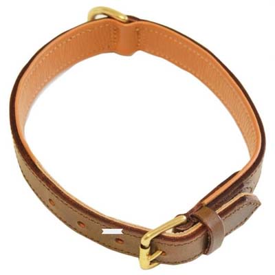 Louis Vuitton Dog Leashes & Head Collars for sale