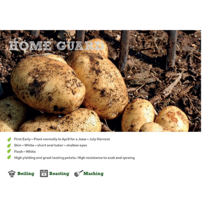 HOME GUARD SEED POTATOES 2KG