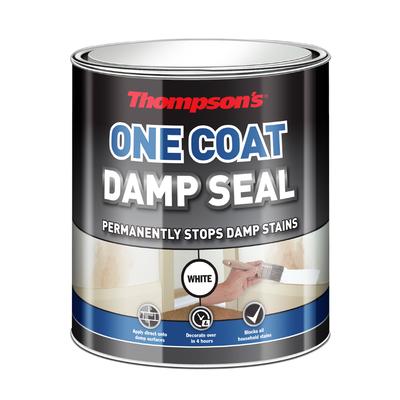 THOMPSONS DAMP SEAL 250ML